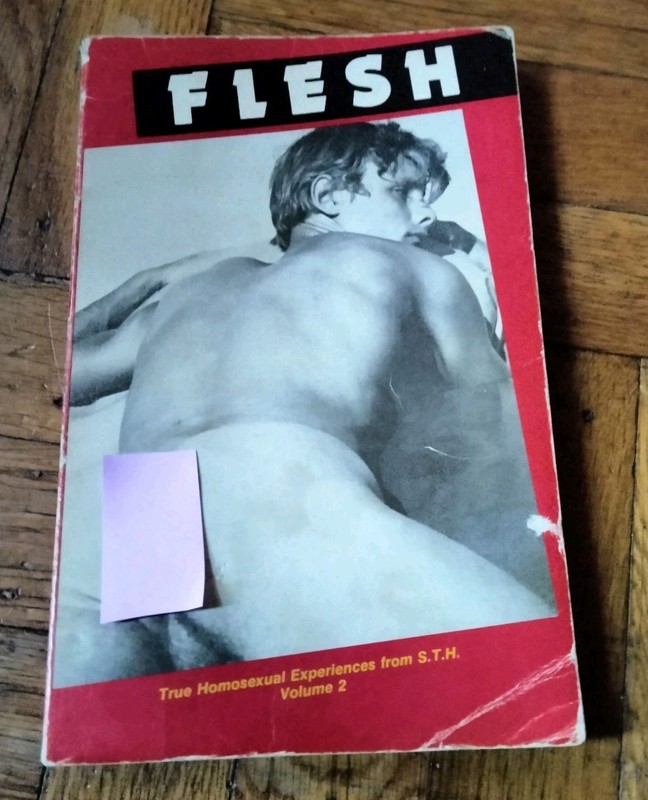 Flesh Vol. 2 1982, from STH, Boyd McDonald, Vintage Gay Erotic Stories, Rare