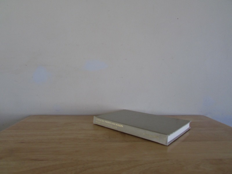 MARY HIGGINS CLARK While My Pretty One Sleeps Hardcover 1989 220 Pages
