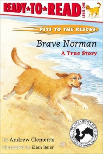 Brave Norman : A True Story – Paperback By Clements, Andrew – GOOD