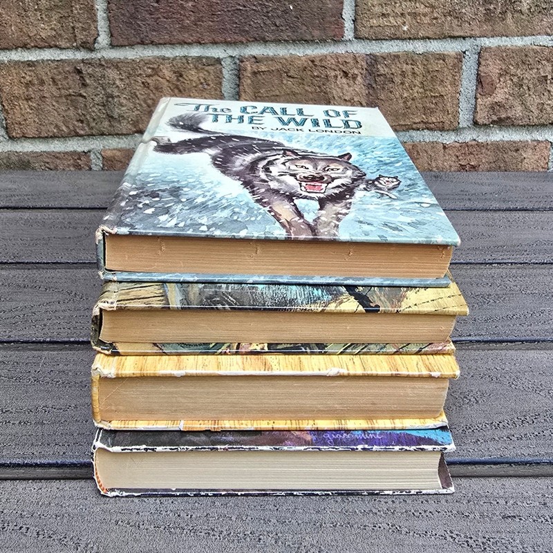 4 Whitman Publishing Books Black Beauty Call Wild Great War Jinx Payrock 50s 60s gallery