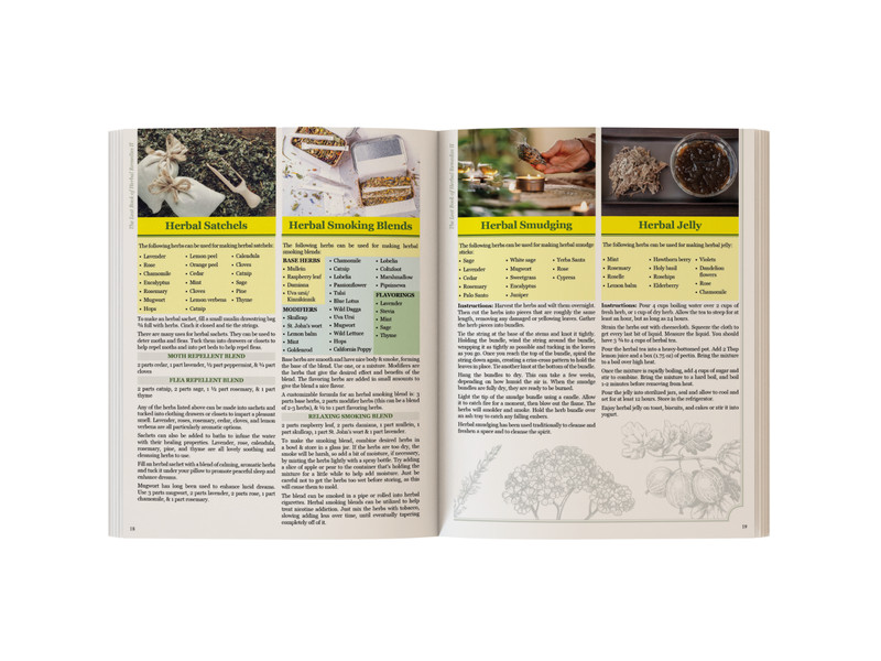 The Lost Book of Herbal Remedies II (paperback with color pictures) gallery