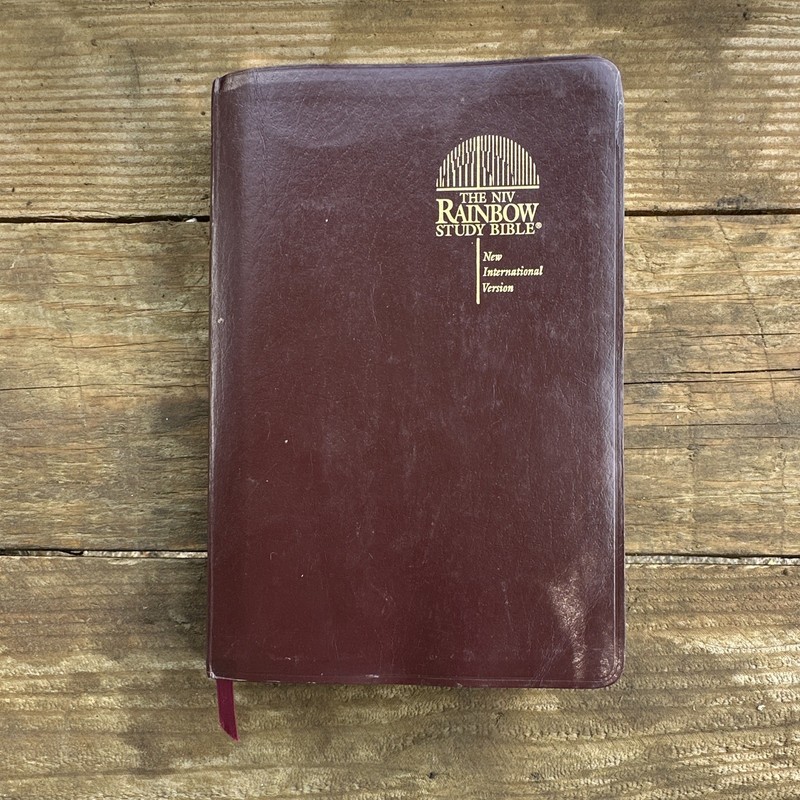 The NIV Rainbow Study Bible Bold Line Edition Leather Bound Illustrated English